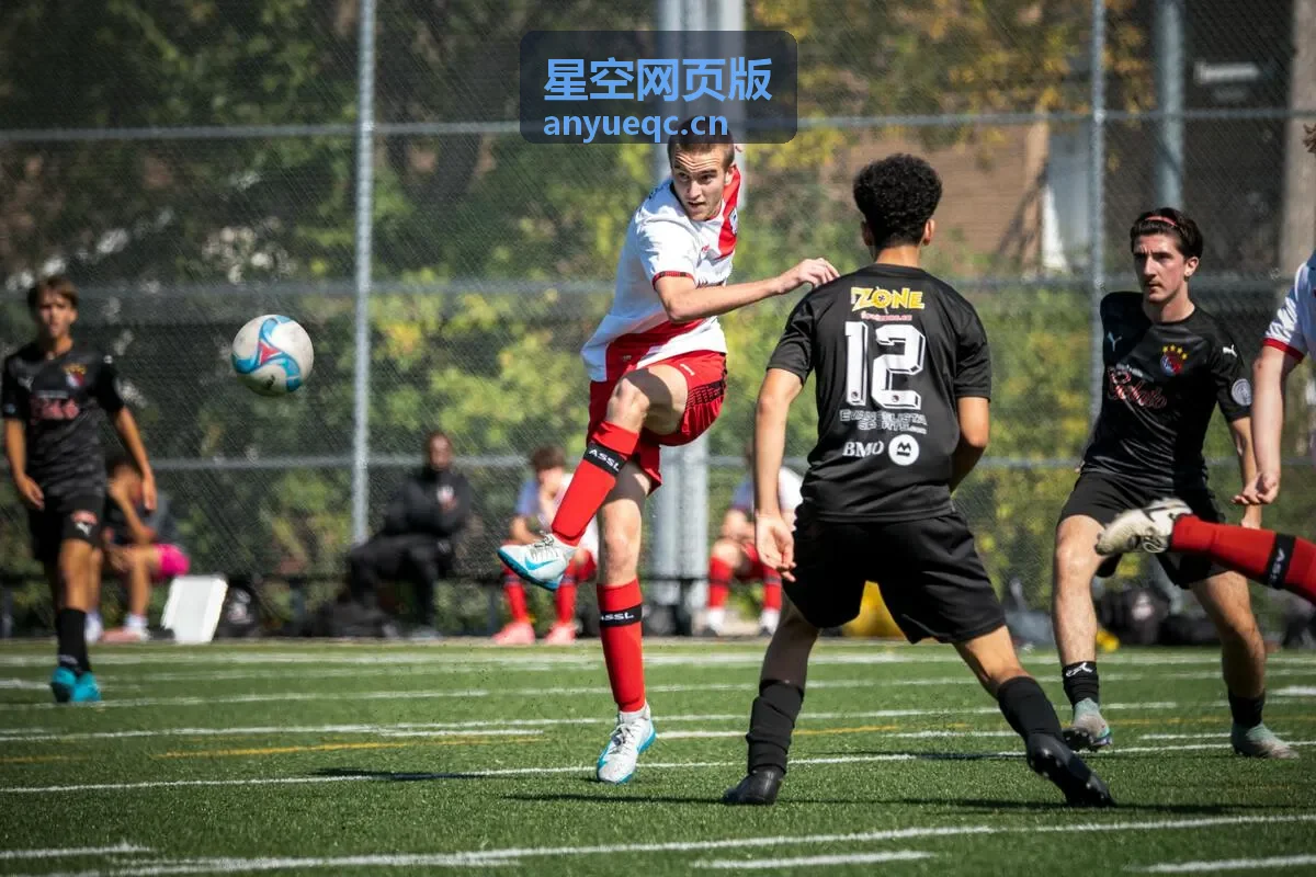 星空网页版专业版专属合集：深空天体观测笔记先行版